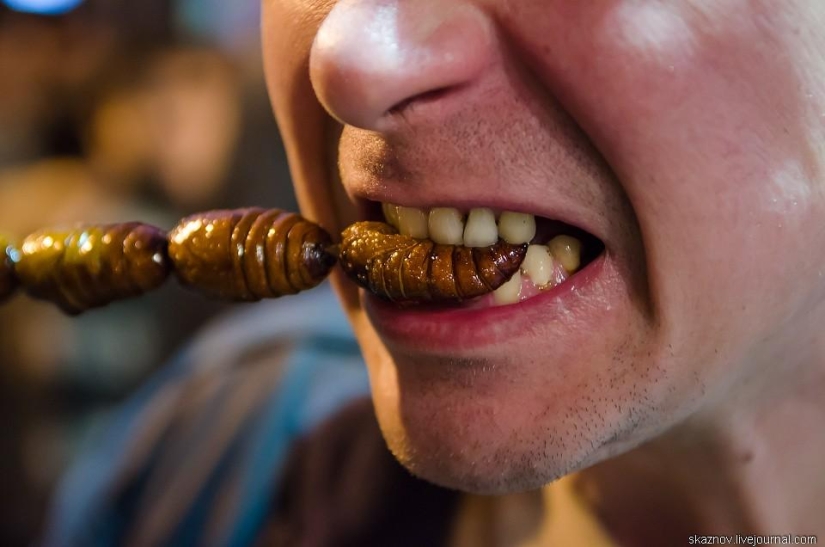 China gastronomic China gastronomic