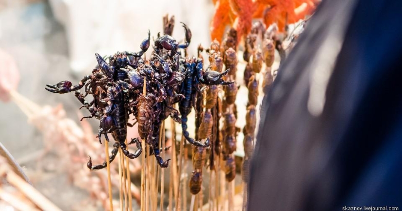 China gastronomic China gastronomic