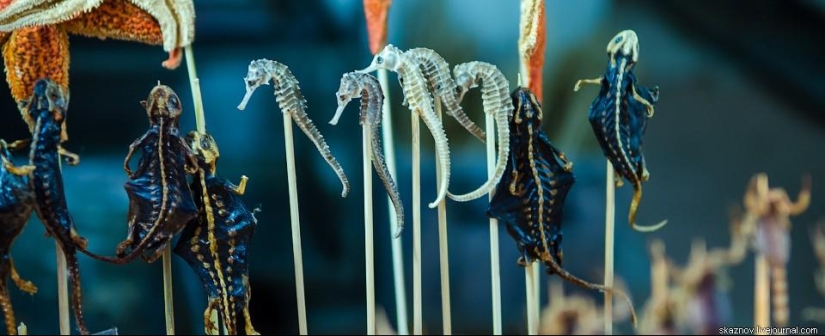 China gastronomic China gastronomic