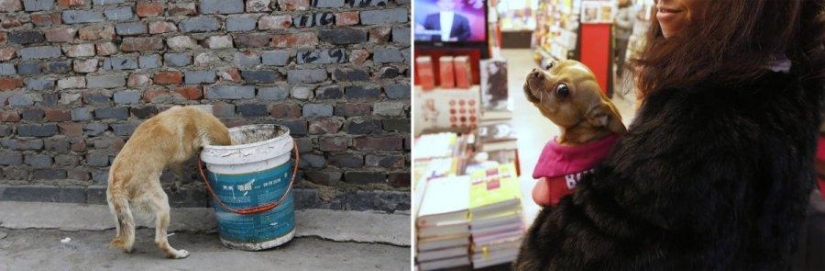 China&#39;s Social Contrasts: Poor and Rich