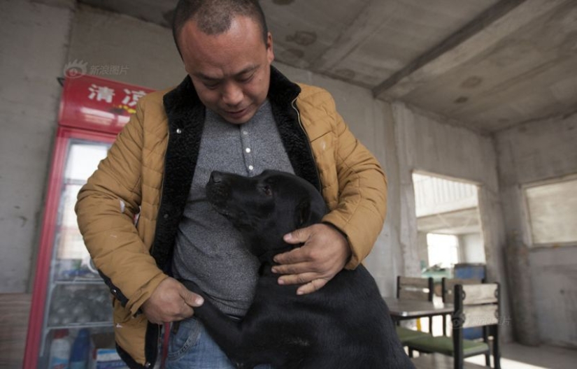 Chinese millionaire goes broke because of dogs Chinese millionaire goes broke because of dogs