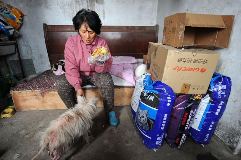Chinese teacher saves 100 dogs from certain death at dog meat festival