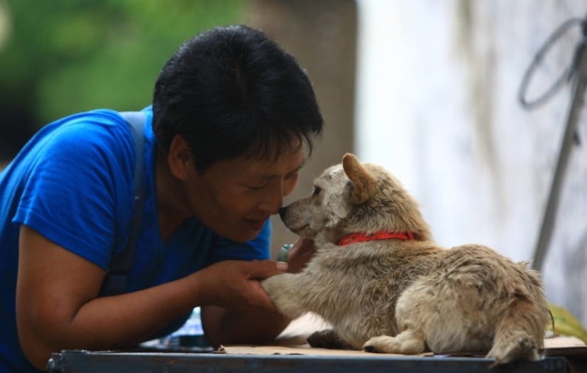 Chinese teacher saves 100 dogs from certain death at dog meat festival