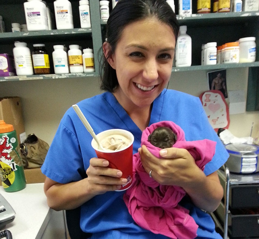 Chocolate puppy was born with a "cleft palate", but a veterinarian saved him from being euthanized