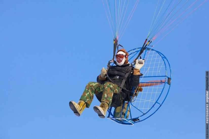 Ciervo corriendo. Yamal Ciervo corriendo. Yamal