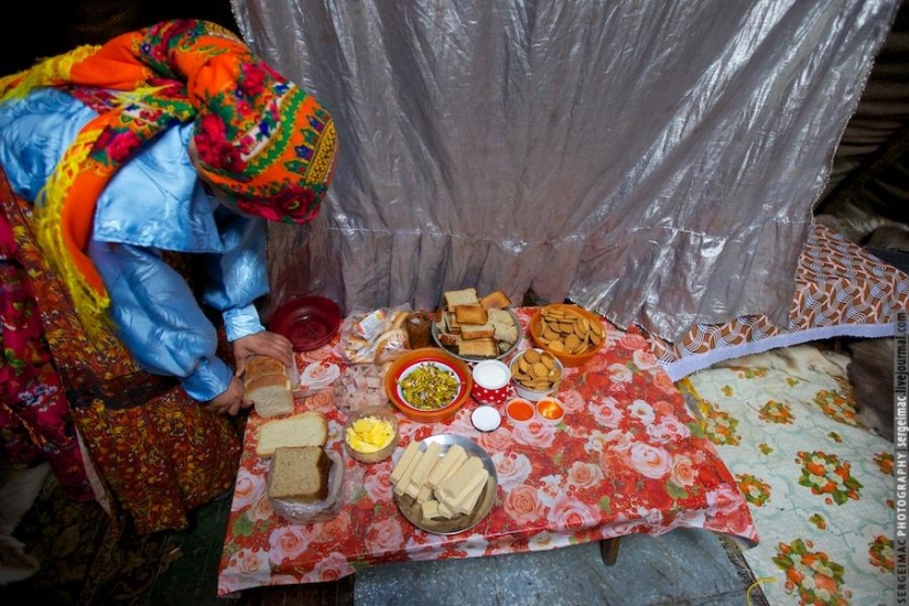 Ciervo corriendo. Yamal Ciervo corriendo. Yamal