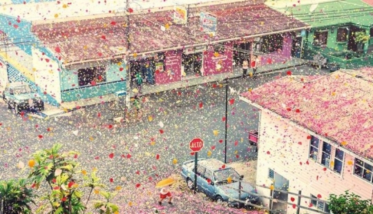 City in Costa Rica filled with 8 million flower petals City in Costa Rica filled with 8 million flower petals