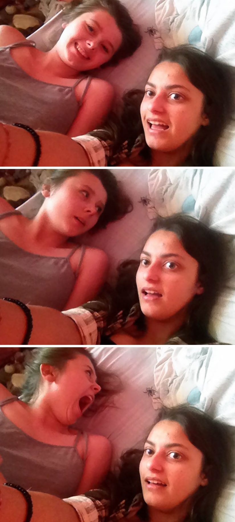 Ciudadanos, ¡revisen sus selfies antes de publicarlos en Internet! Ciudadanos, ¡revisen sus selfies antes de publicarlos en Internet!