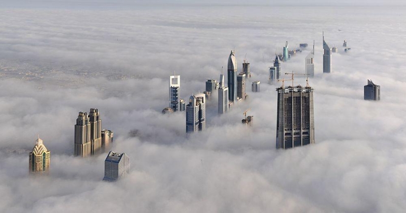Ciudades envueltas en niebla Ciudades envueltas en niebla
