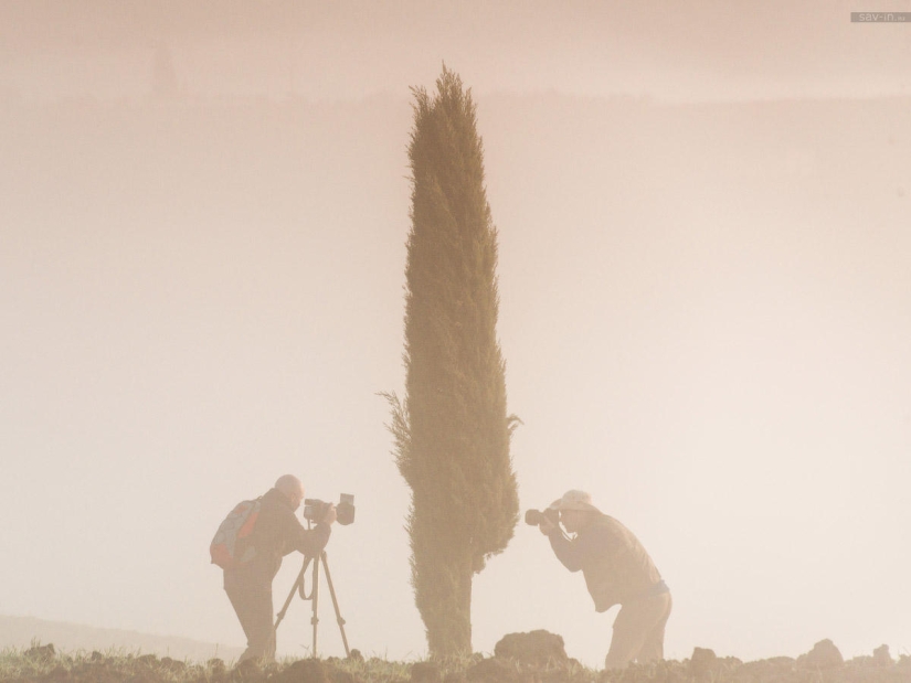 Cálido otoño en la Toscana Cálido otoño en la Toscana