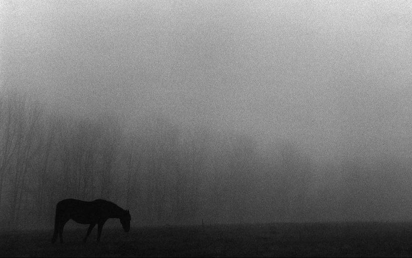 Clásico de la fotografía: Harold Feinstein Clásico de la fotografía: Harold Feinstein