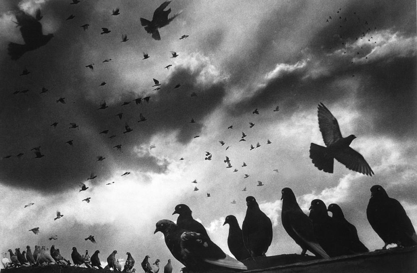 Clásico de la fotografía: Harold Feinstein Clásico de la fotografía: Harold Feinstein