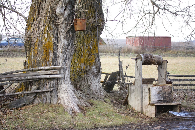 Cómo combinar Internet y el pueblo y al mismo tiempo hacer felices a las abuelas en dos clics Cómo combinar Internet y el pueblo y al mismo tiempo hacer felices a las abuelas en dos clics