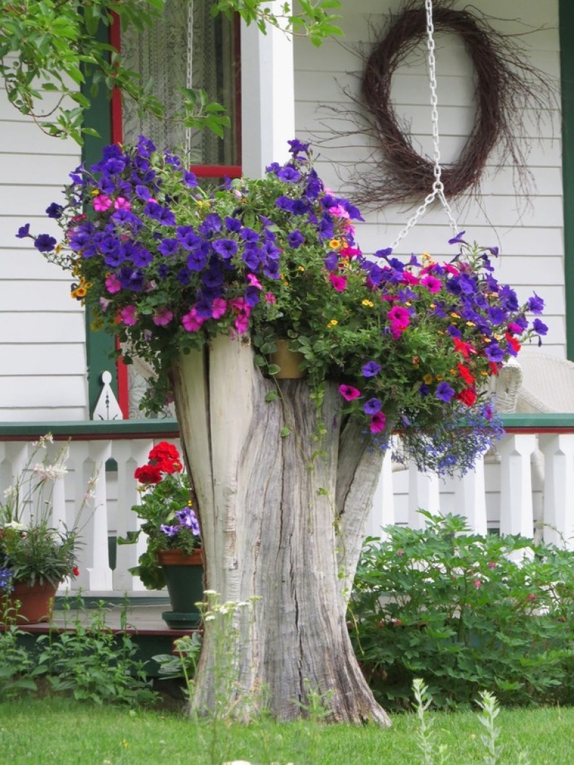 Cómo crear un macizo de flores hermoso e inusual a partir de materiales improvisados: 20 ejemplos