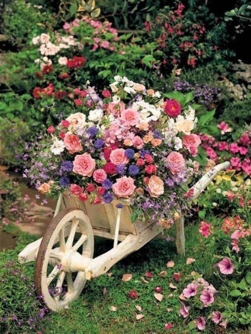 Cómo crear un macizo de flores hermoso e inusual a partir de materiales improvisados: 20 ejemplos