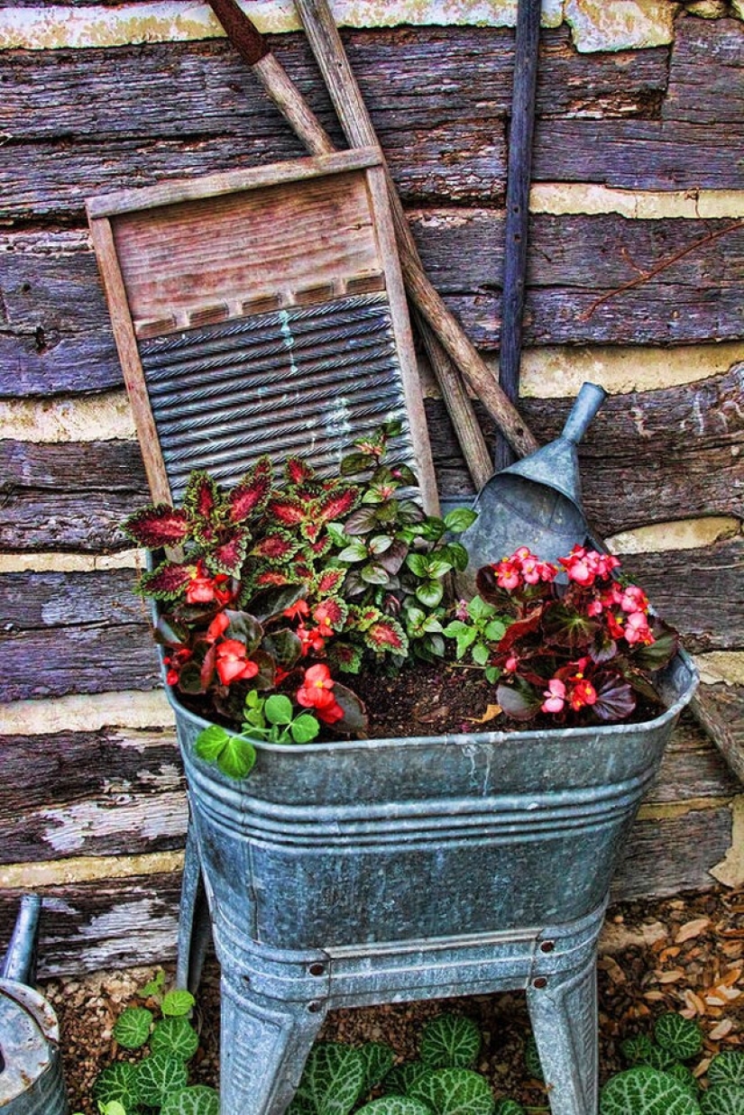 Cómo crear un macizo de flores hermoso e inusual a partir de materiales improvisados: 20 ejemplos