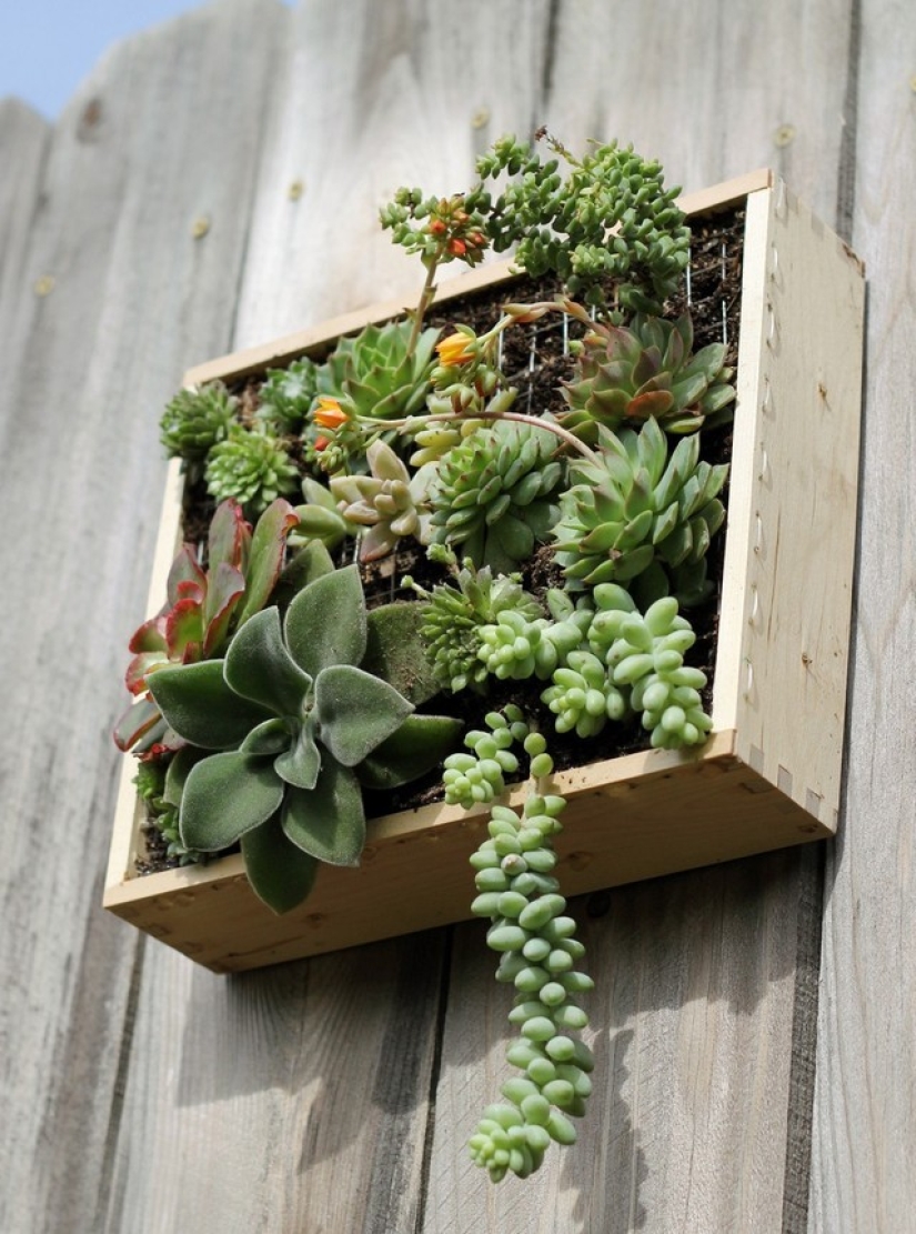 Cómo crear un macizo de flores hermoso e inusual a partir de materiales improvisados: 20 ejemplos