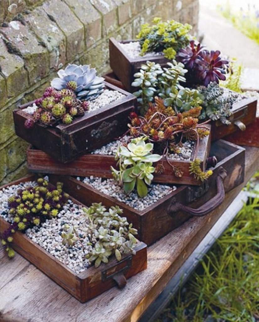 Cómo crear un macizo de flores hermoso e inusual a partir de materiales improvisados: 20 ejemplos