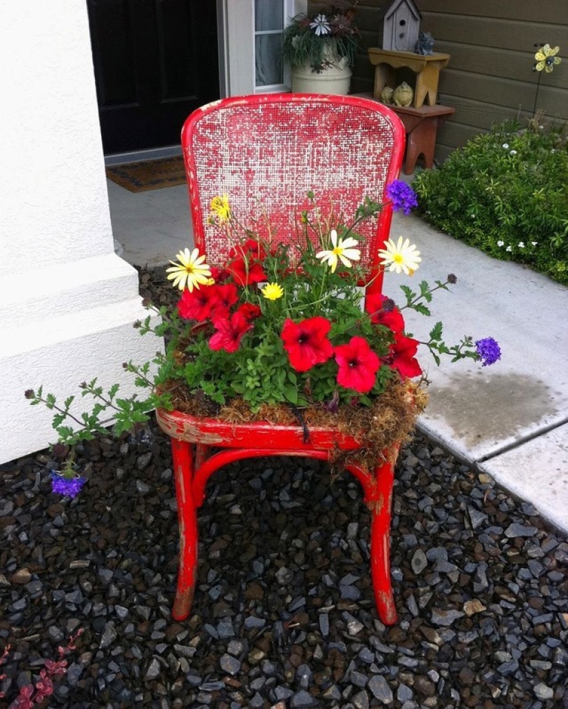 Cómo crear un macizo de flores hermoso e inusual a partir de materiales improvisados: 20 ejemplos