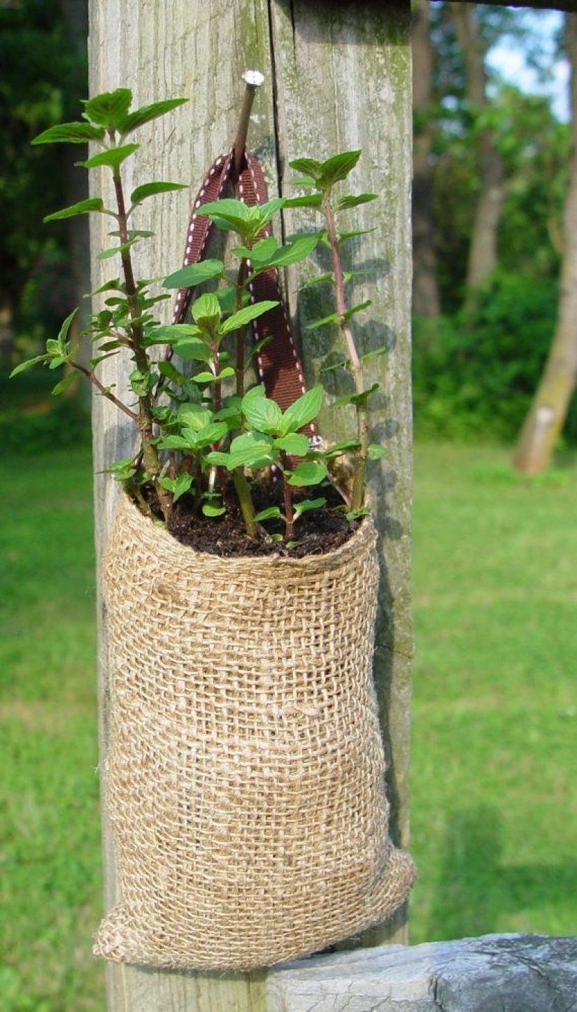 Cómo crear un macizo de flores hermoso e inusual a partir de materiales improvisados: 20 ejemplos