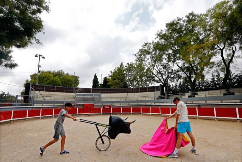 Cómo crecen las futuras estrellas del toreo