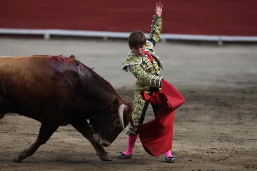 Cómo crecen las futuras estrellas del toreo