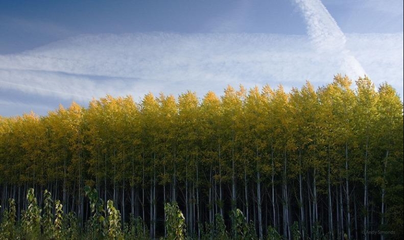Cómo es una pintoresca granja forestal en Oregón