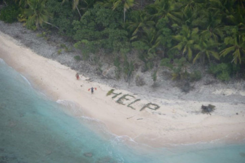 Cómo escapar de una isla desierta con ramas de palma