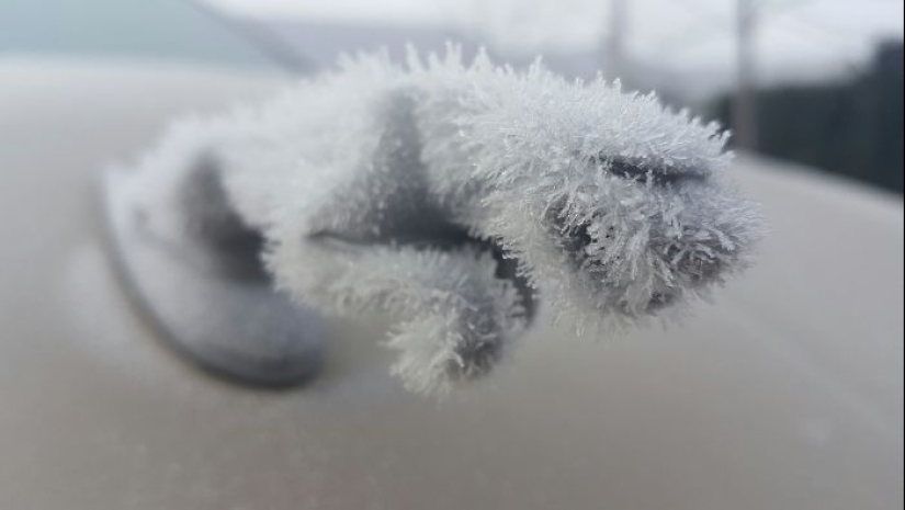 Cómo frost convierte los coches en objetos de arte