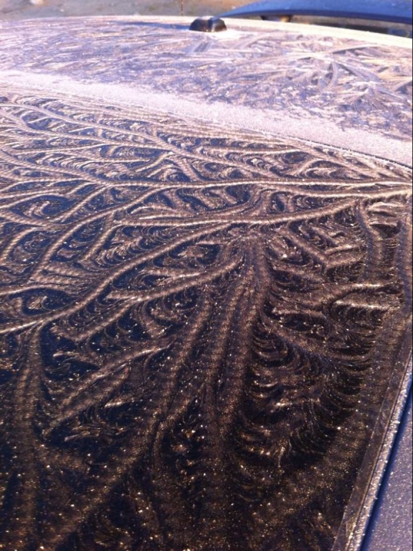Cómo frost convierte los coches en objetos de arte