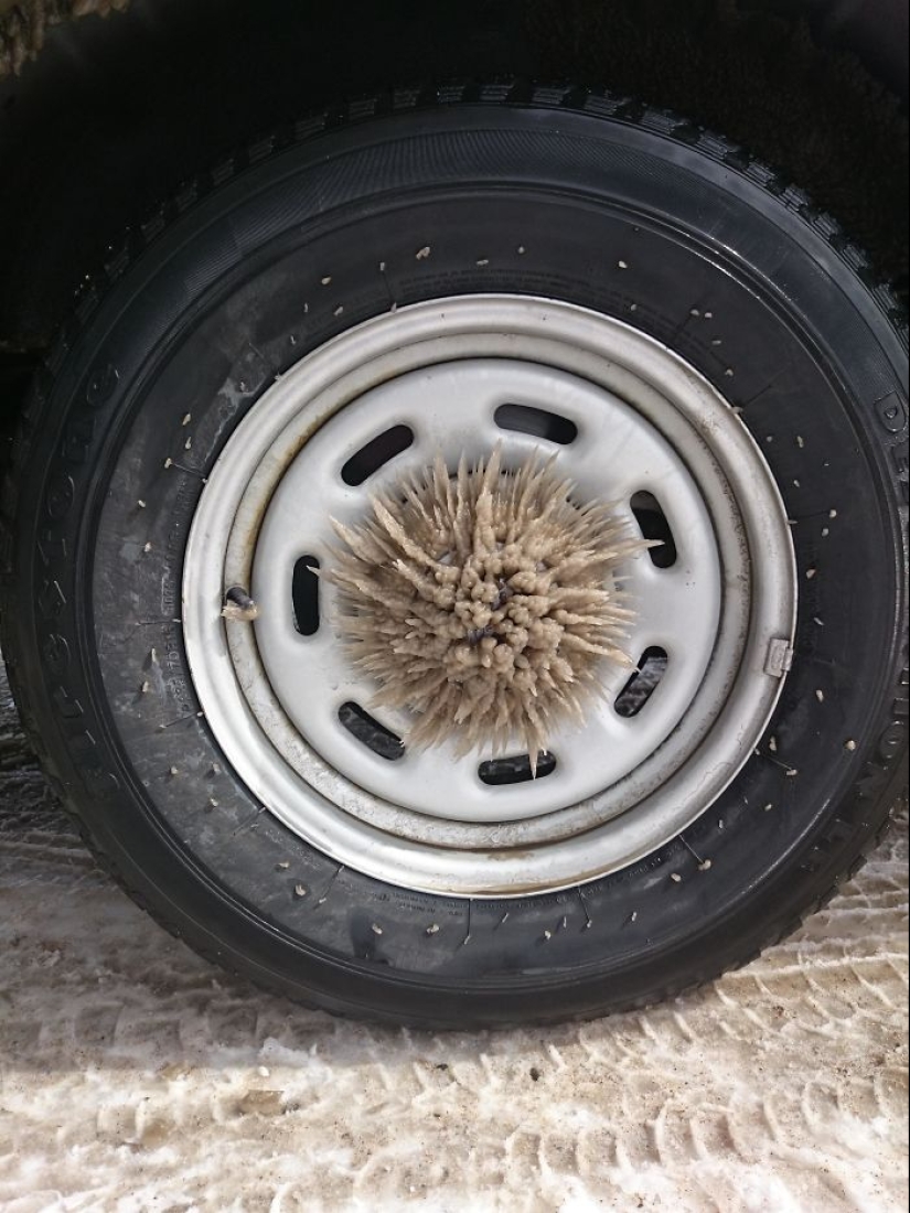 Cómo frost convierte los coches en objetos de arte