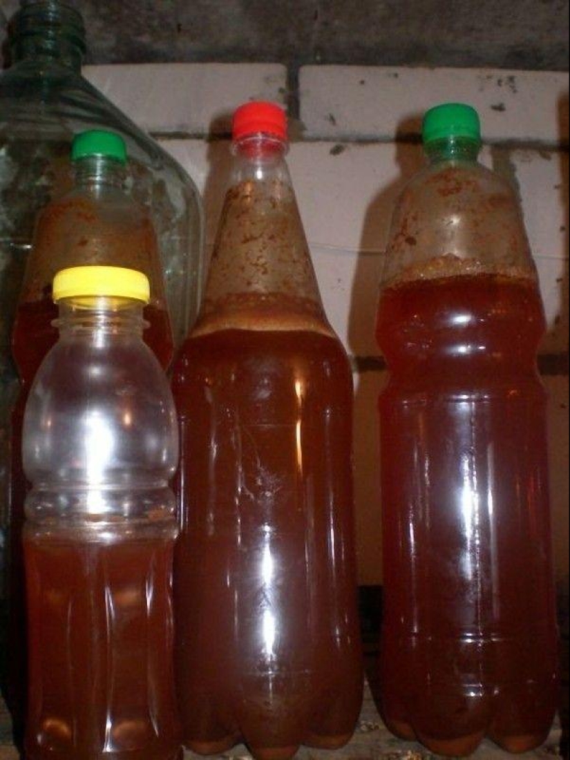 Cómo hacer hidromiel en casa