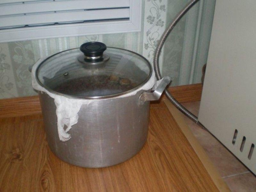 Cómo hacer hidromiel en casa