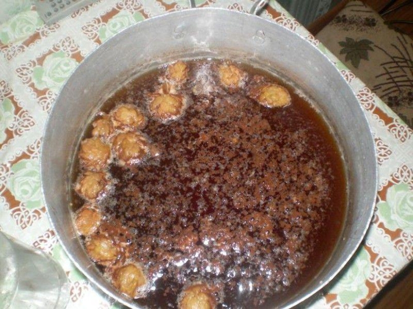 Cómo hacer hidromiel en casa