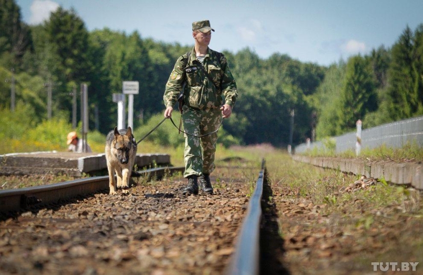 Cómo los cachorros se convierten en guardias fronterizos