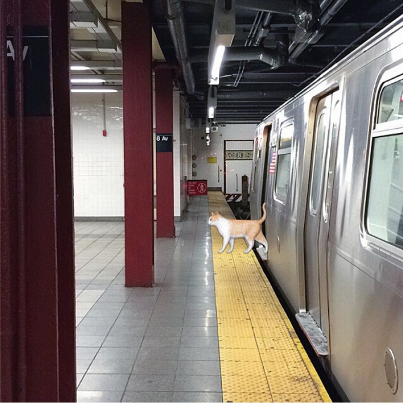 Cómo los emoticonos emoji penetraron en nuestras vidas