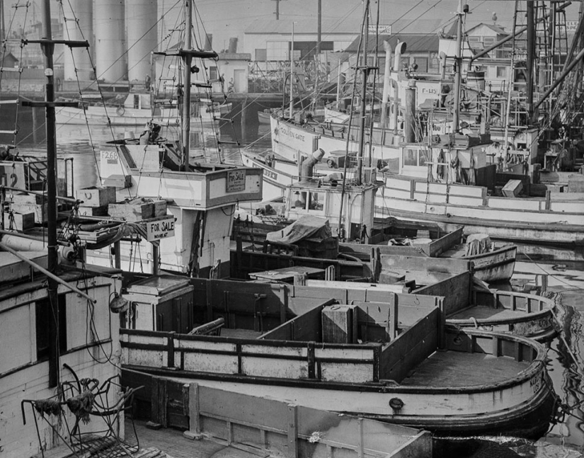 Cómo los japoneses étnicos fueron forzados a campos de concentración en los Estados Unidos después de Pearl Harbor Cómo los japoneses étnicos fueron forzados a campos de concentración en los Estados Unidos después de Pearl Harbor