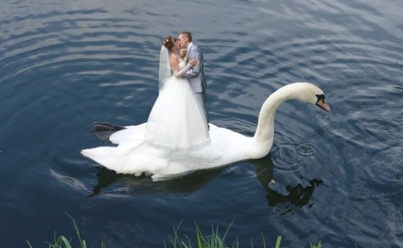 Cómo NO fotografiar una boda: una guía fotográfica de Rusia Cómo NO fotografiar una boda: una guía fotográfica de Rusia