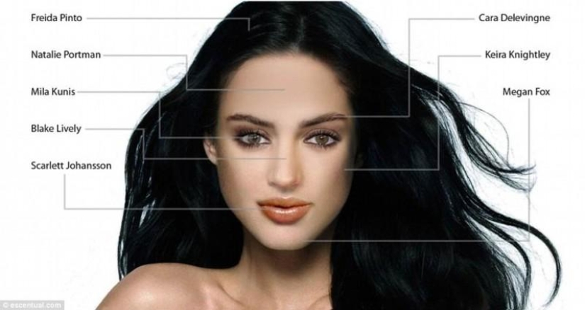 Cómo perciben hombres y mujeres la belleza femenina