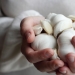 ¿Cómo prevenir los coágulos de sangre? 6 alimentos que diluyen la sangre ¿Cómo prevenir los coágulos de sangre? 6 alimentos que diluyen la sangre