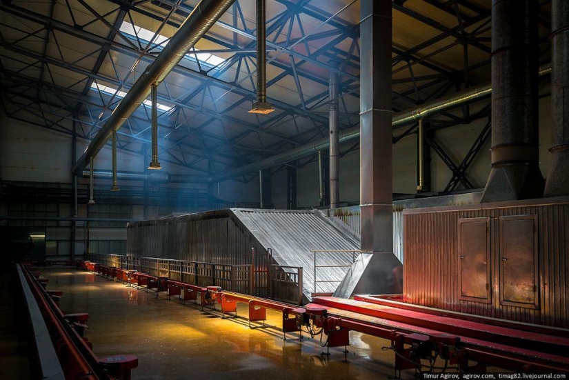 Cómo se ensamblan los automóviles Lifan en la fábrica de Derways