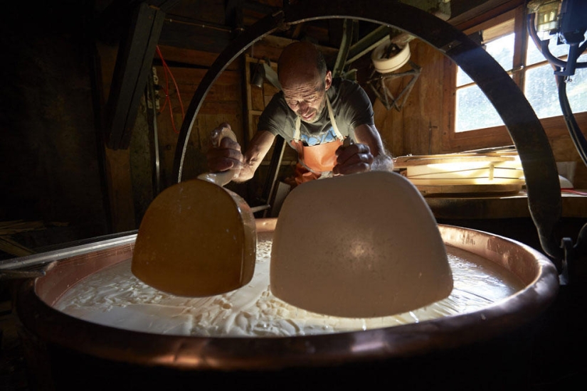 Cómo se hace el queso suizo