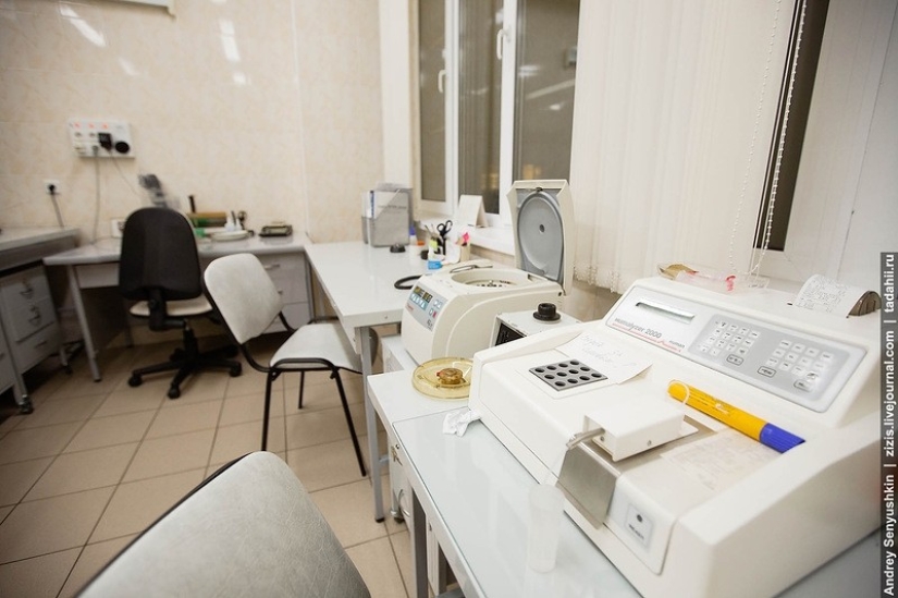 ¿Cómo se salvan los recién nacidos? Informe de cuidados intensivos pediátricos