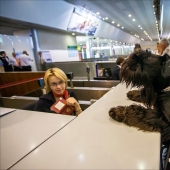 Cómo se transportan los animales en avión