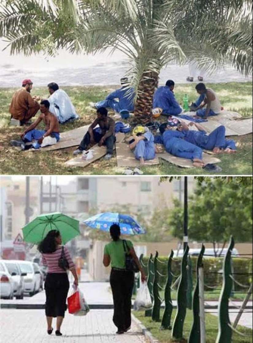 Cómo sobrevivir en el calor: experiencia extranjera Cómo sobrevivir en el calor: experiencia extranjera