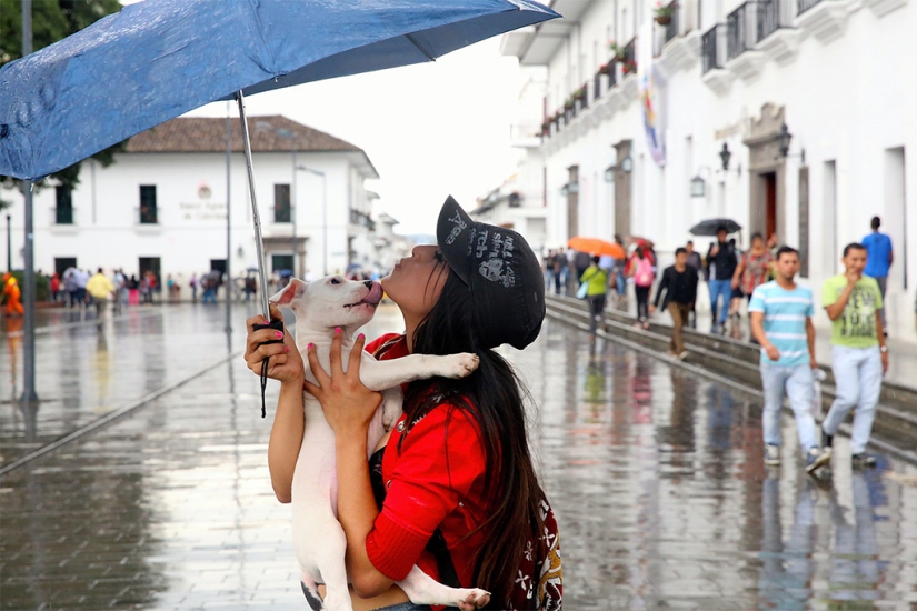 Cómo un fotógrafo demostró que el amor gobierna el mundo