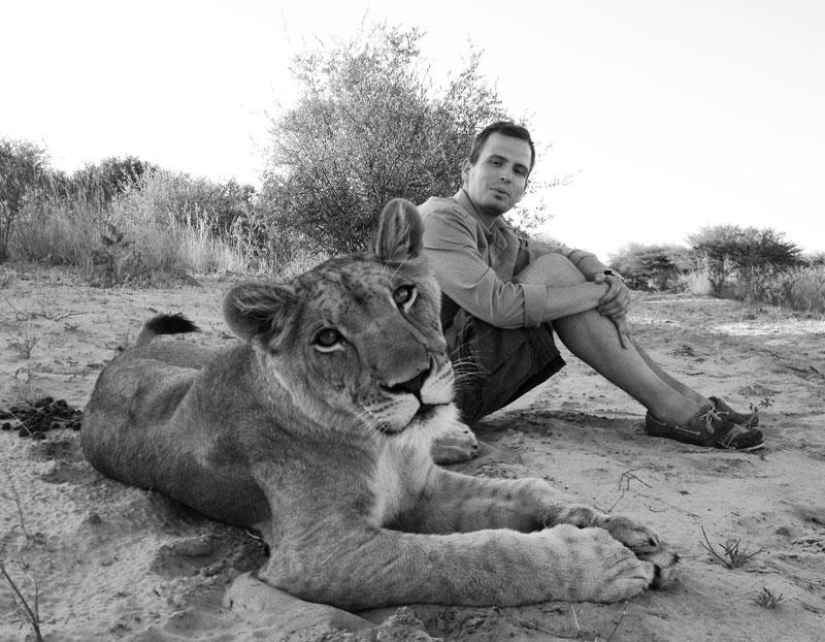 Cómo viví con leones en Botswana