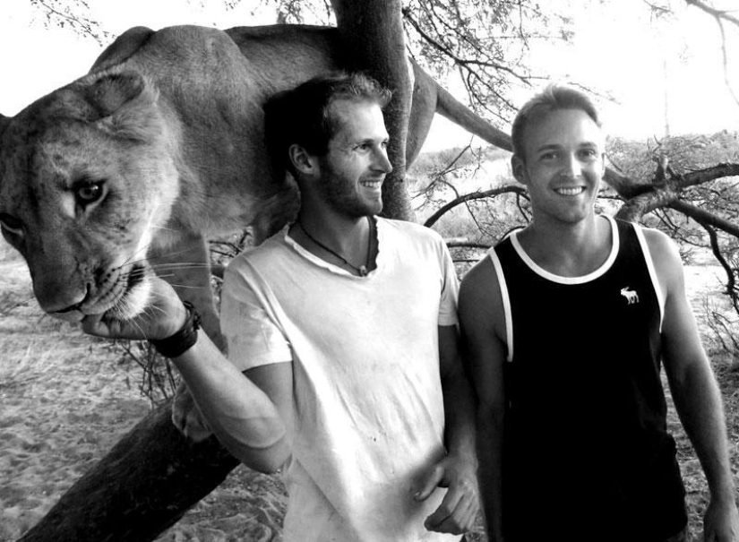 Cómo viví con leones en Botswana