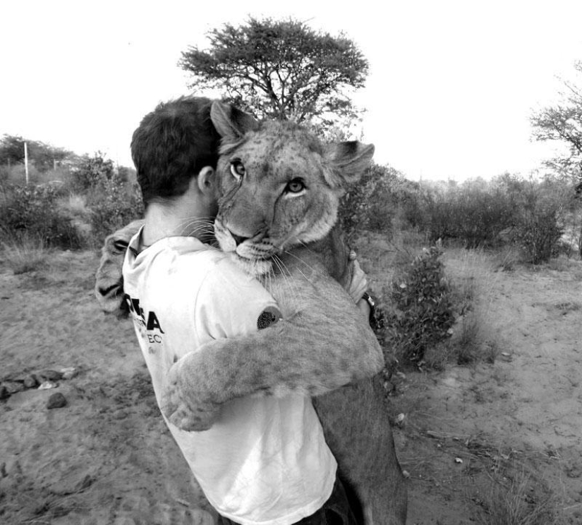 Cómo viví con leones en Botswana