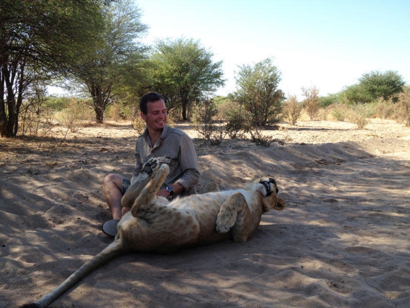 Cómo viví con leones en Botswana